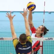 E’ in arrivo un “Gallo” tra i Tucani!